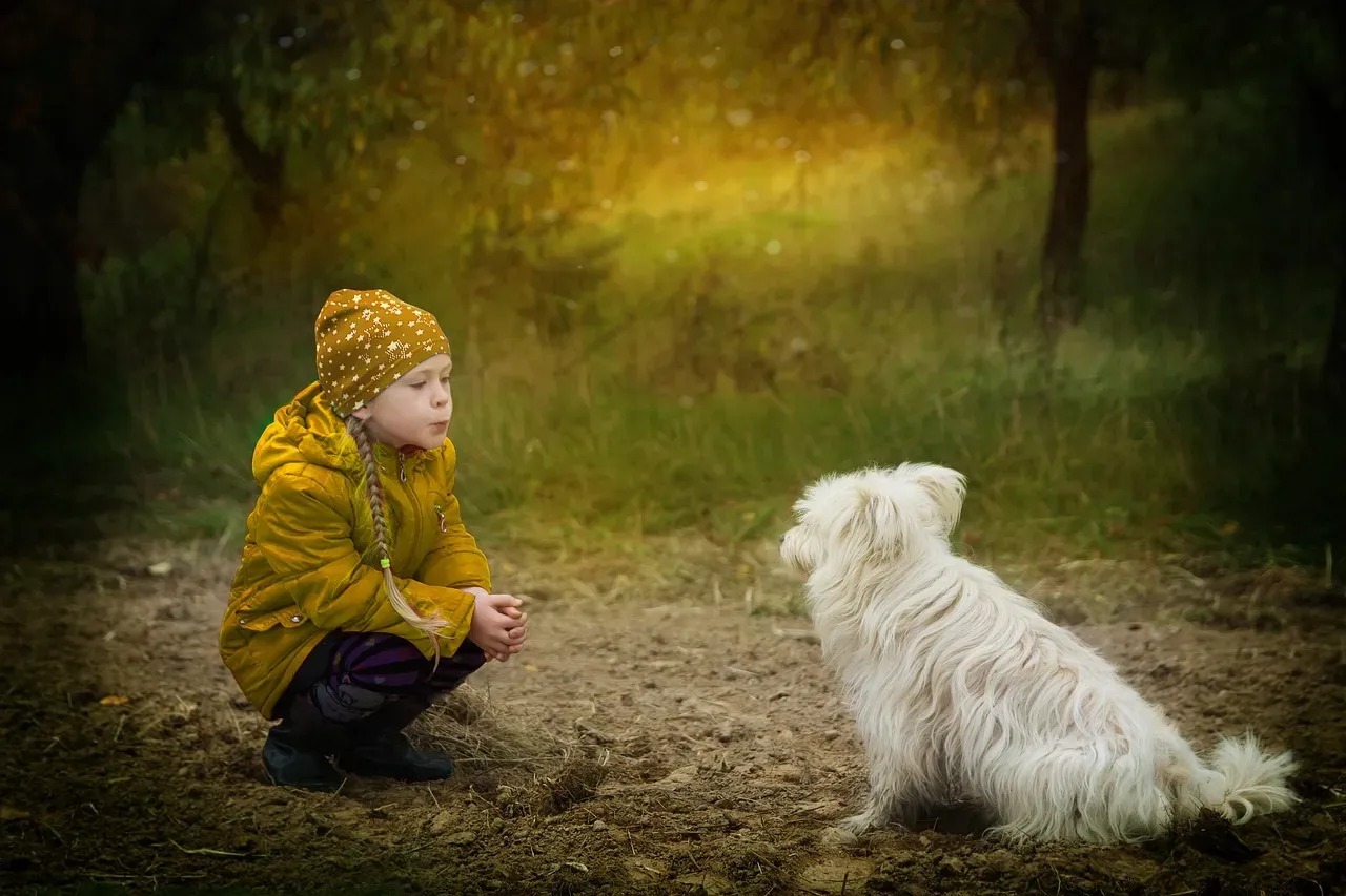 6. They Carry the Memory of Kindness (and of Unkindness) (Image Credits: Pixabay)