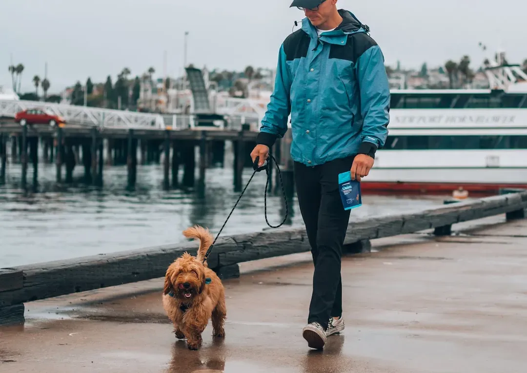 #14 - The First Walk Route and Where It Ended (Image Credits: Unsplash)