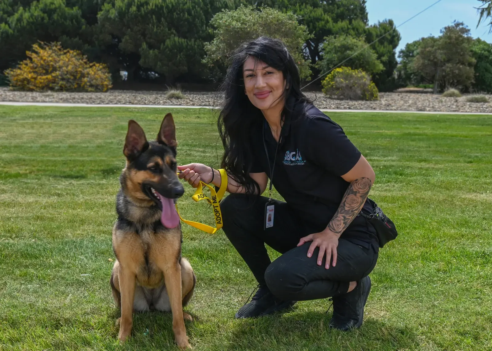 You're Literally Saving a Life (Image Credits: Wikimedia)