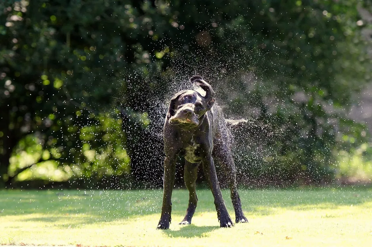 When Shaking Might Signal Something More Than Stress (Image Credits: Pixabay)