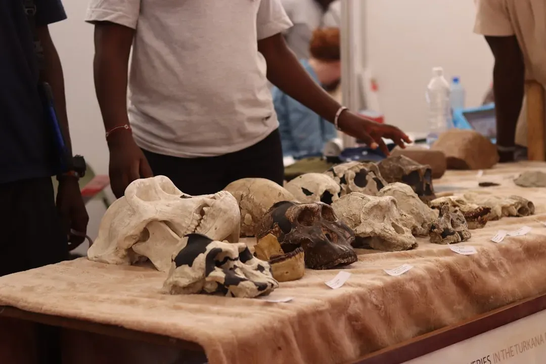 5. Evidence of Early Human-Dog Burials (Image Credits: Unsplash)