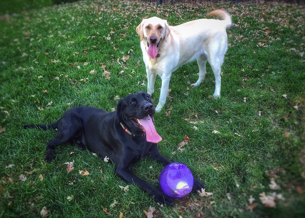 A Routine That Brings Order to Chaos (Image Credits: Flickr)