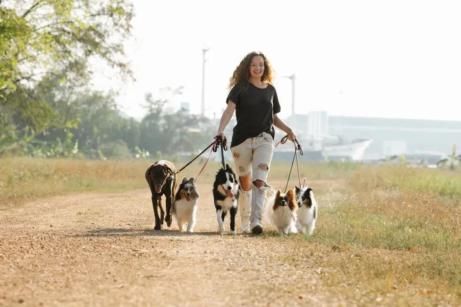 Sagittarius: The Freedom-Lover Who Respects a Dog’s True Nature (Image Credits: Pexels)