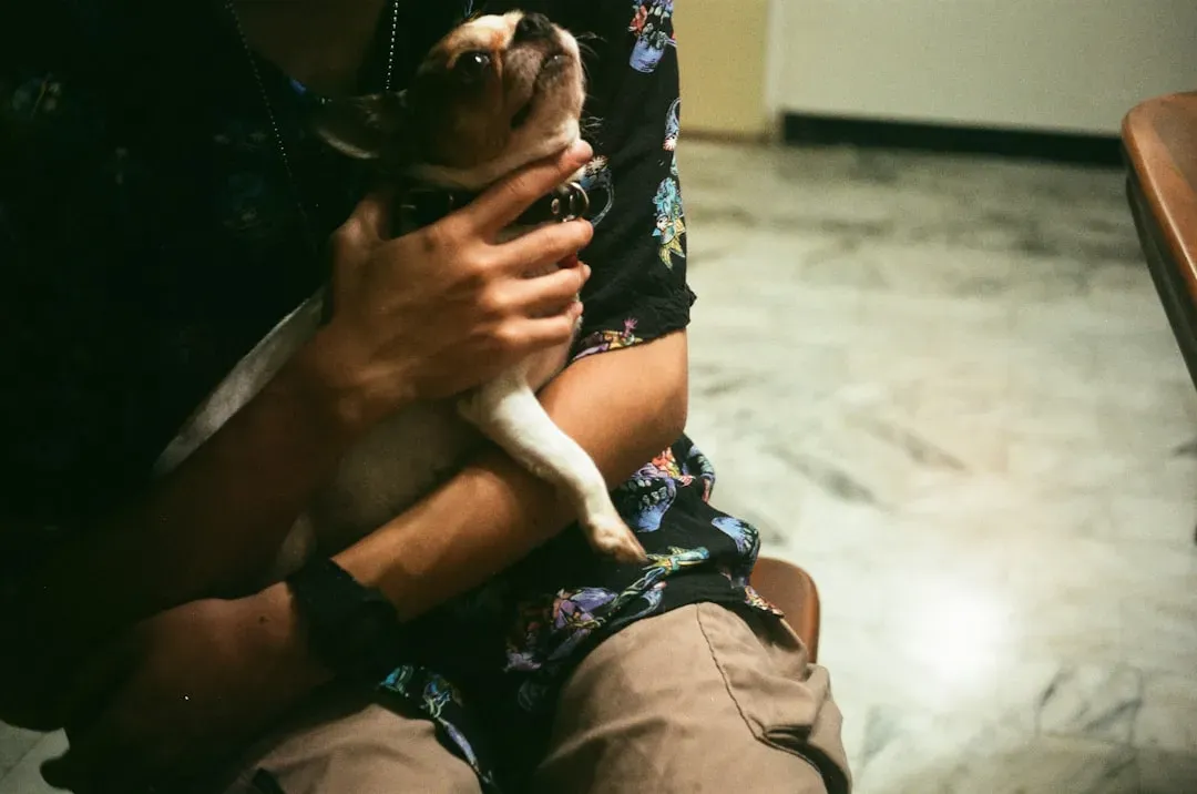 Times You Rescued Them from Danger (Image Credits: Unsplash)