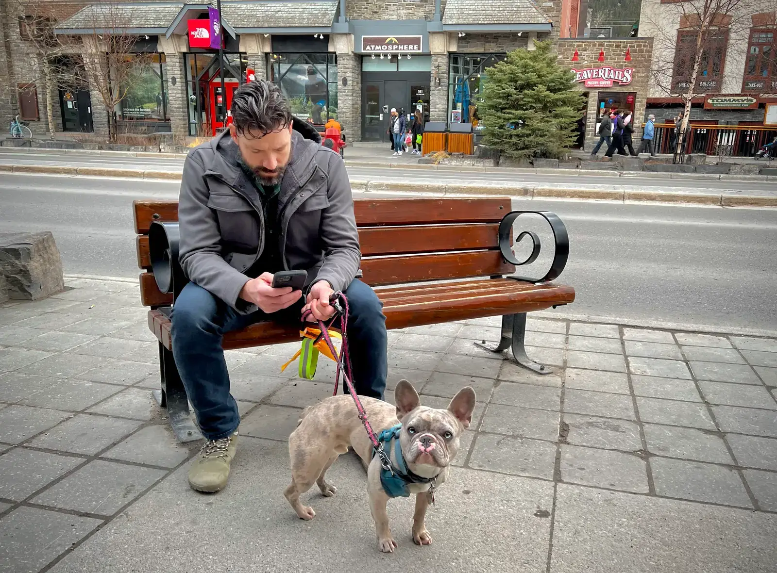 Why "Bonded and Insured" Is a Phrase Worth Understanding (By Sharon Hahn Darlin, CC BY 2.0)