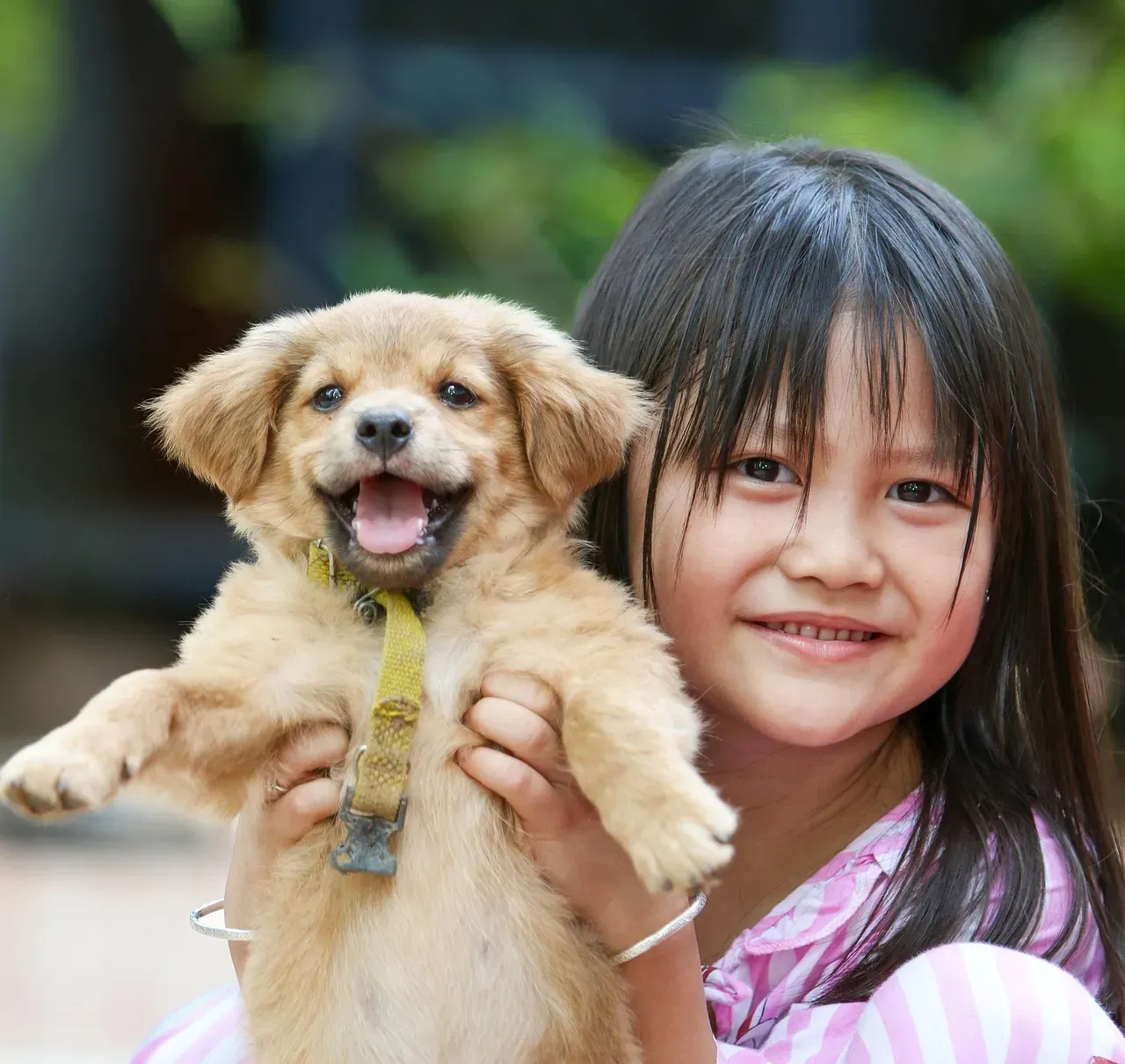 4. Do You Have Kids or Other Pets at Home? (Image Credits: Pixabay)