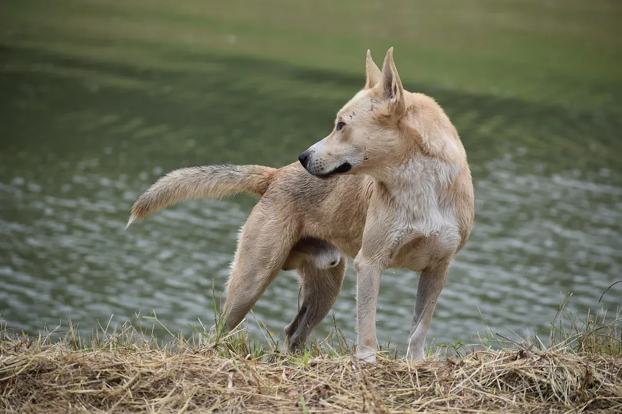 The Art of Looking Away (Image Credits: Pixabay)