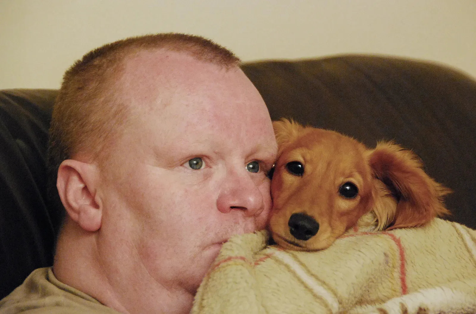 Their Loyalty Runs Deeper Than Logic (Image Credits: Wikimedia)