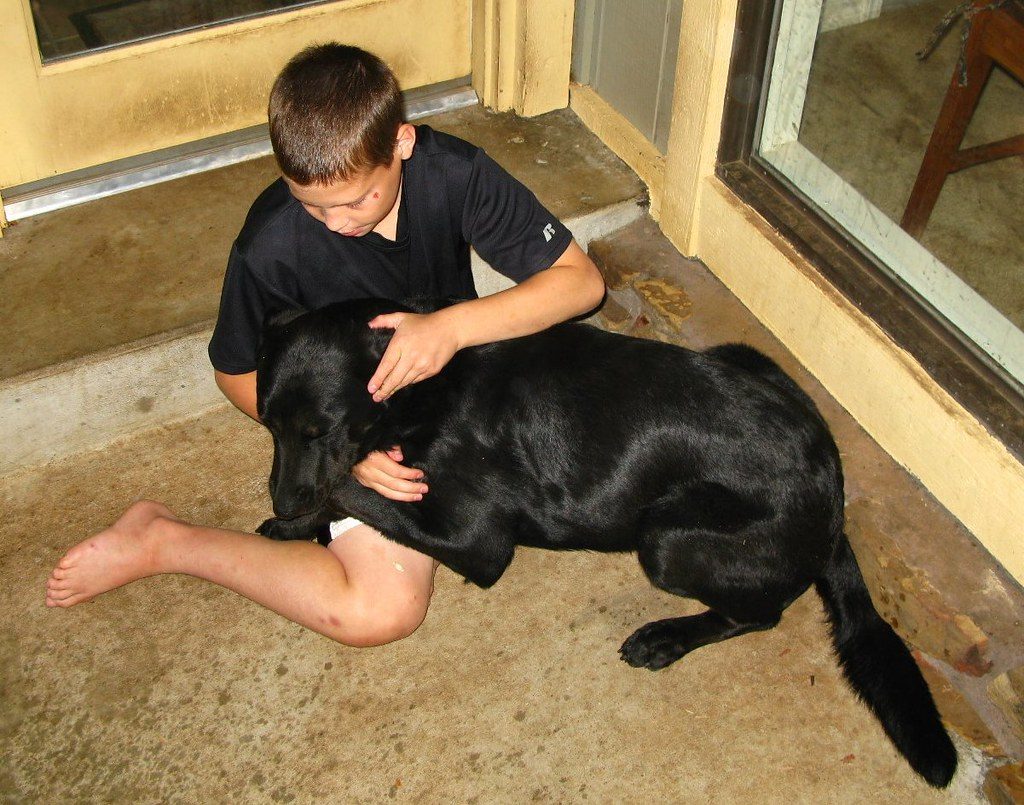 Thunder and Fireworks (Image Credits: Flickr)