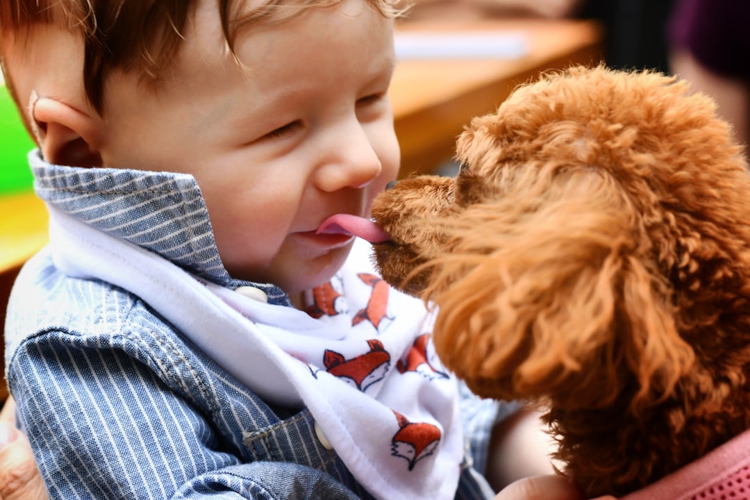 Why Dogs Want to Lick Your Baby (Image Credits: Unsplash)
