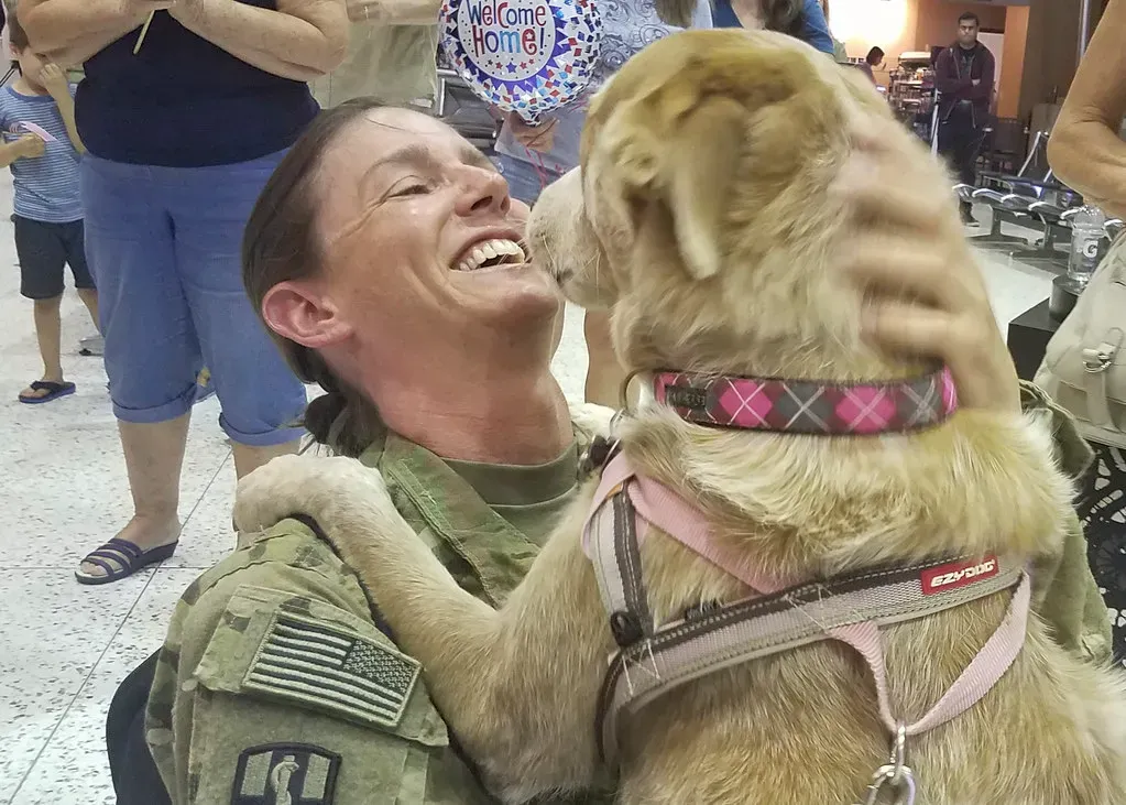 7. They Greet You With Intense, Joyful Excitement (The National Guard, Flickr, CC BY 2.0)