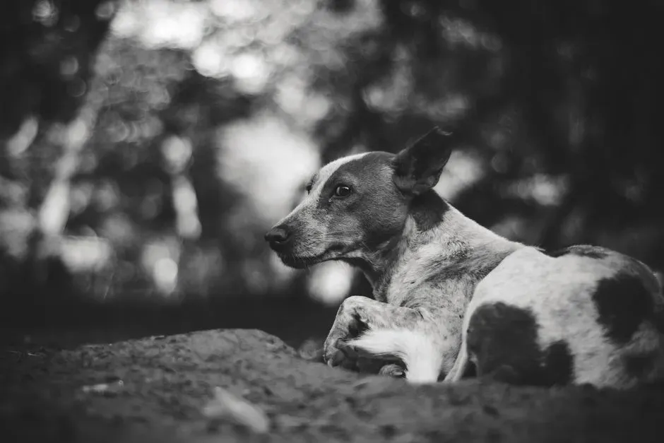 #13 - They Can Be Alone Without Falling Apart (Image Credits: Pexels)