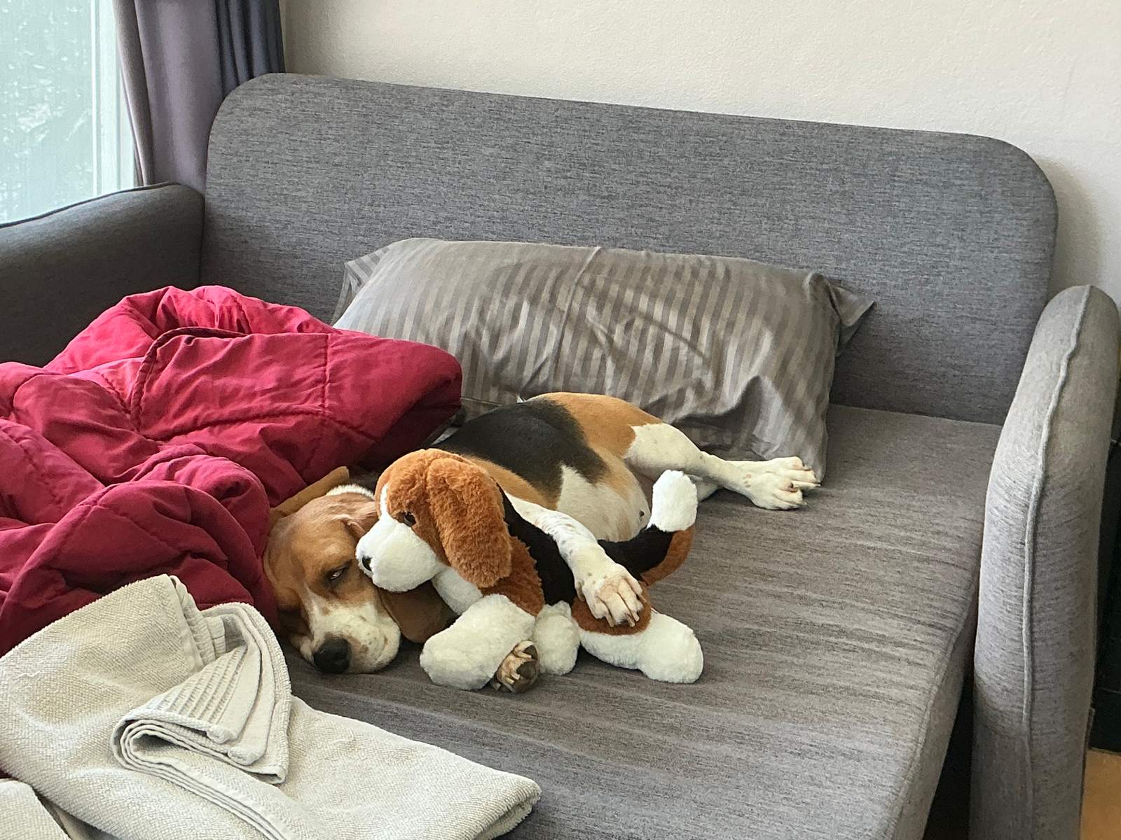 When Maternal Instincts Take Over (Image Credits: Wikimedia)