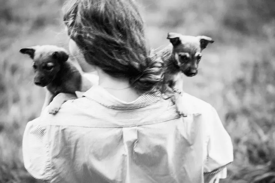 #7 - The Dramatic Sigh, Turn-Away, or "Cold Shoulder" Act (Image Credits: Pexels)