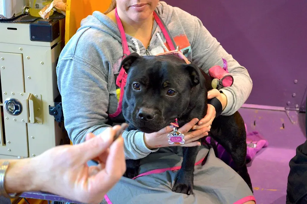 Understanding Changes Everything (Image Credits: Flickr)