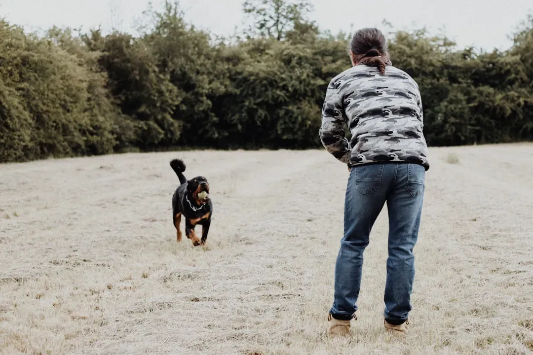 3. Come: Your Dog's Emergency Recall Button (Image Credits: Unsplash)