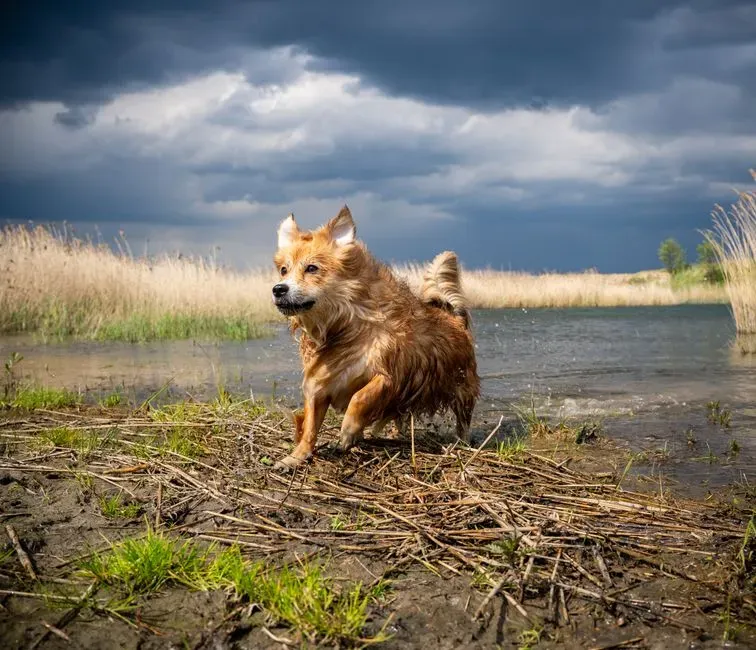 #11 - The Storm You "Sat Through" Together (Image Credits: Pexels)