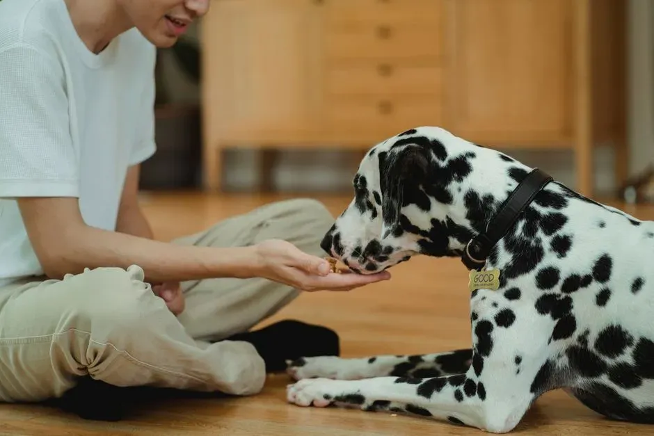 #5 - Taking Treats Gently… or Even Refusing One (Image Credits: Pexels)