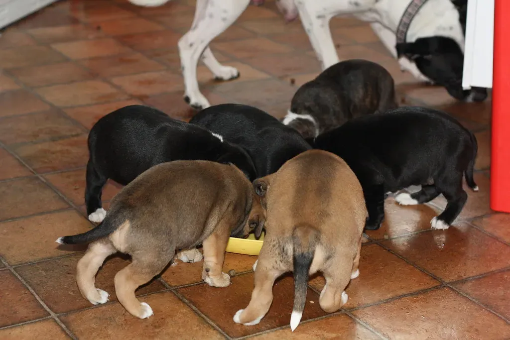 The Gradual Transition Process (Image Credits: Flickr)