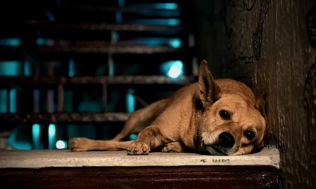 5. Withdrawal and Social Isolation (Image Credits: Unsplash)