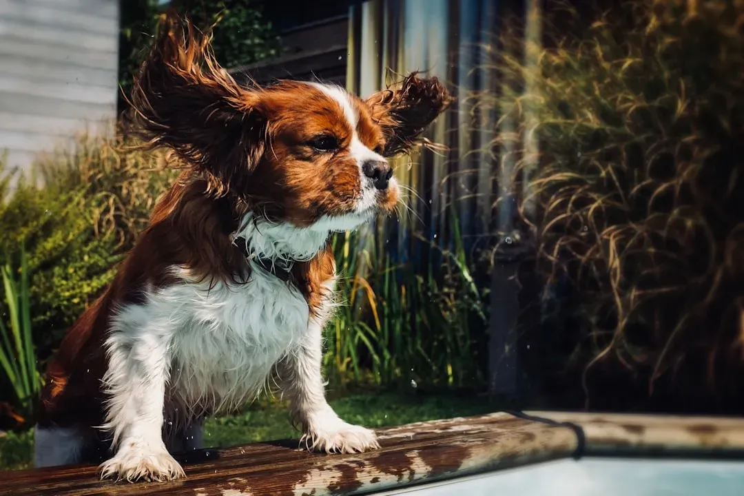 7. Playing Outside in Extreme Heat (Image Credits: Unsplash)