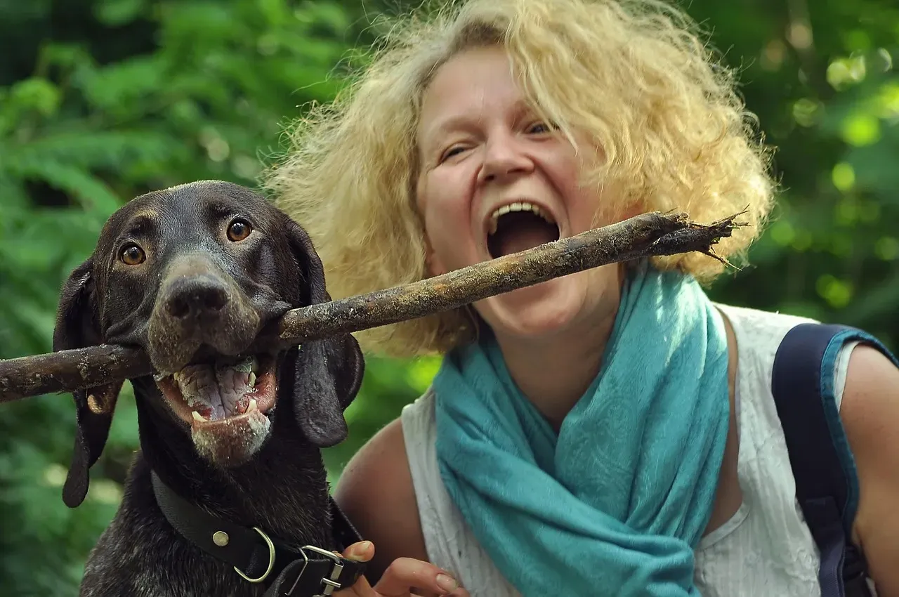 Understanding Is the Best Thing You Can Give Your Dog (Image Credits: Pixabay)