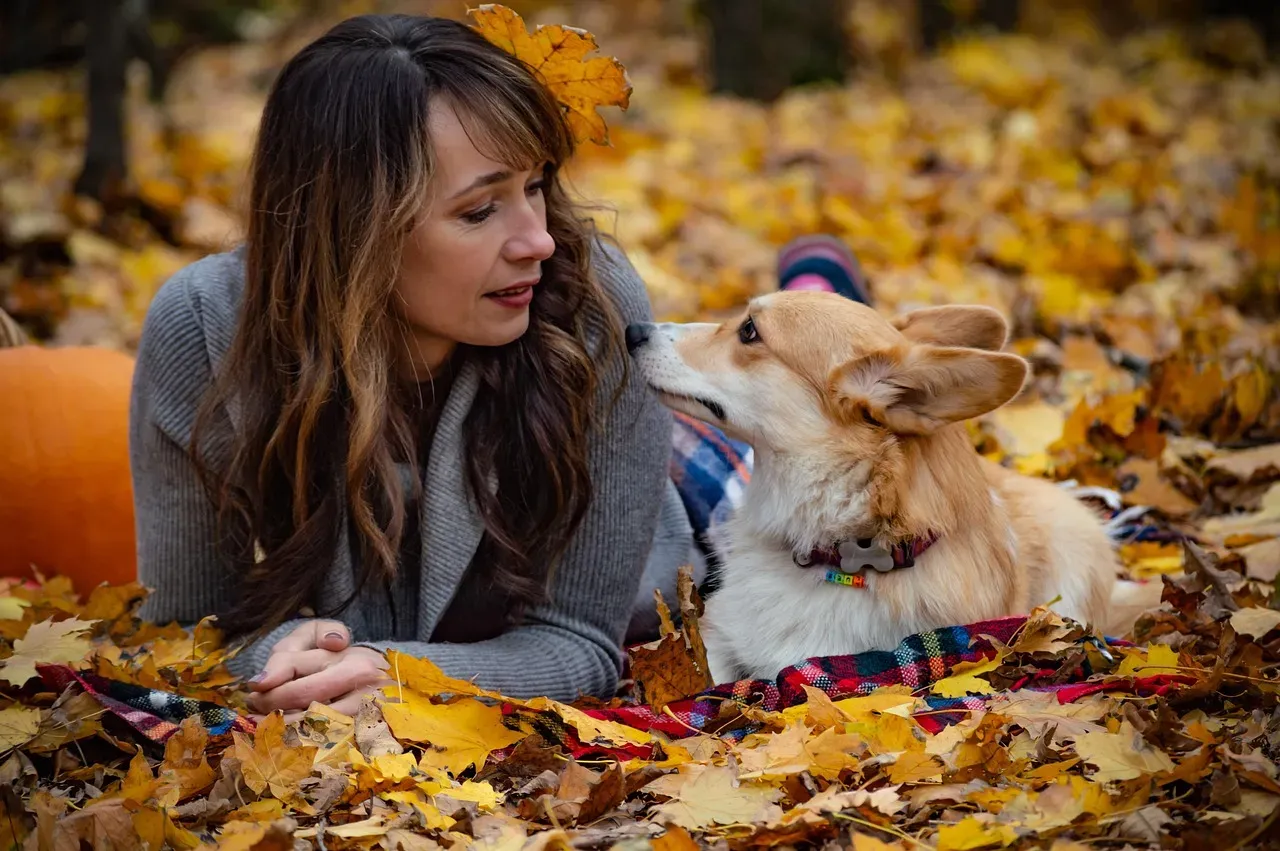 #14 - Picking Their "Opinion" on Other Dogs (Image Credits: Pixabay)