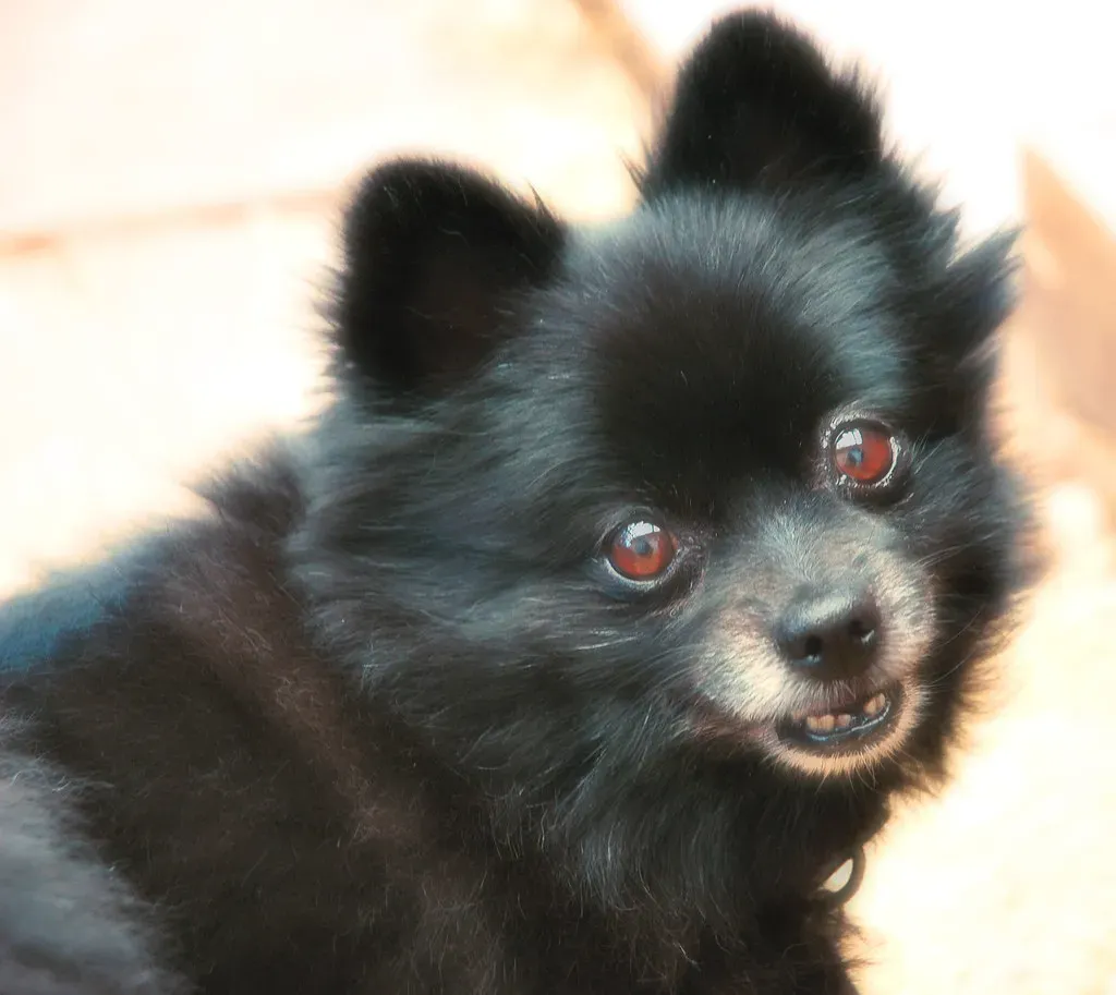 Memories Hurt First, Then They Heal (Sarah_Jones, Flickr, CC BY-SA 2.0)