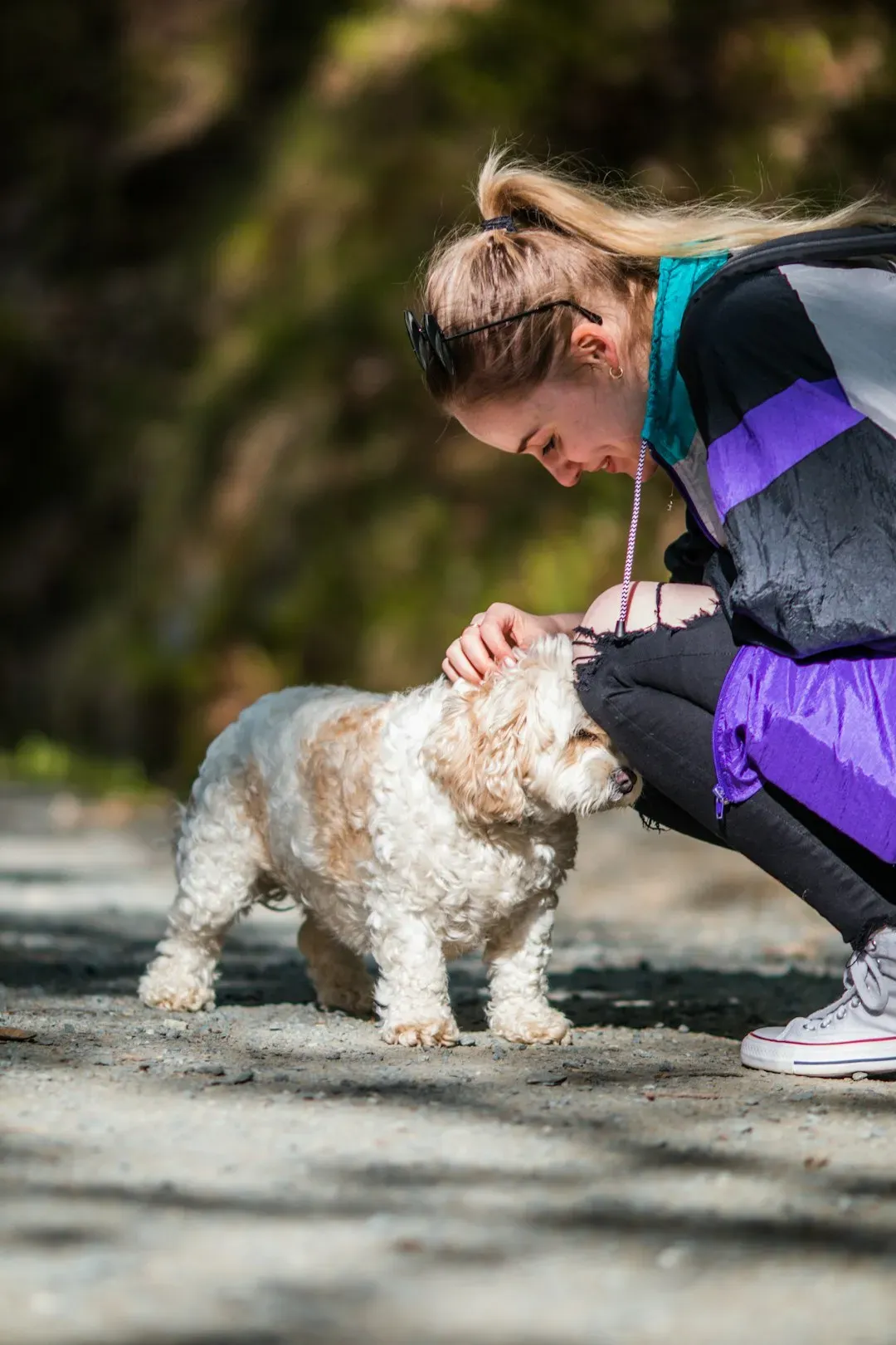 Reading Your Dog's Body Language: The Real Game Changer (Image Credits: Unsplash)