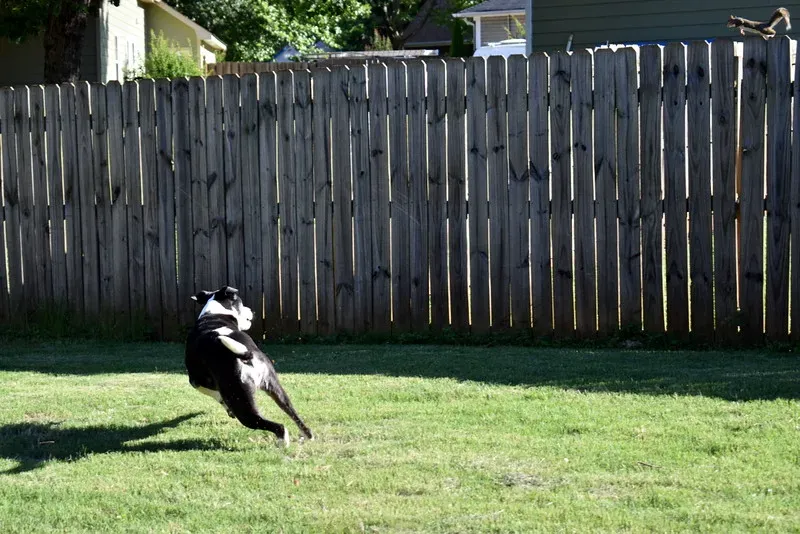 Conclusion (Image Credits: Flickr)