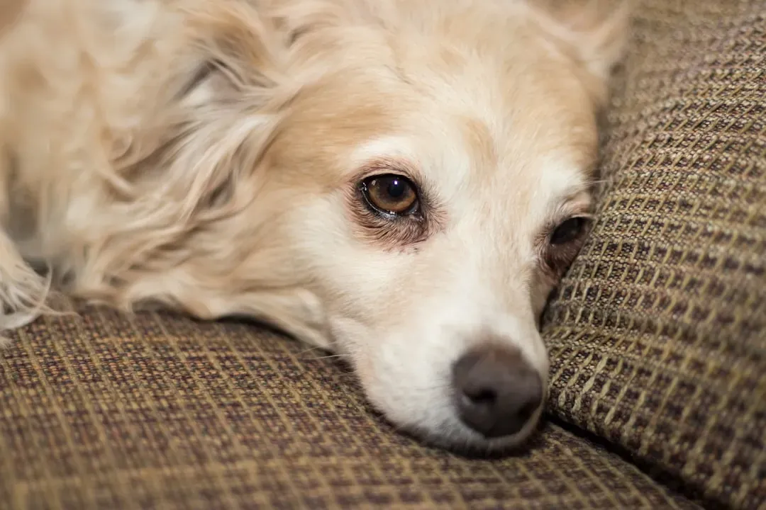 3. Absorbing Your Stress Without Relief (Image Credits: Unsplash)