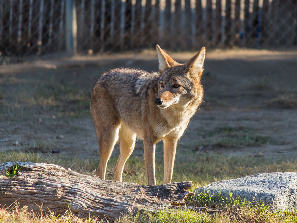 The Housing Challenge (Image Credits: Flickr)