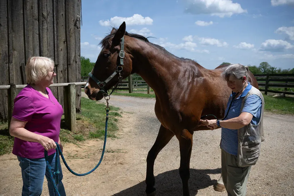 Pain and Physical Discomfort Behind the Noise (Image Credits: Flickr)