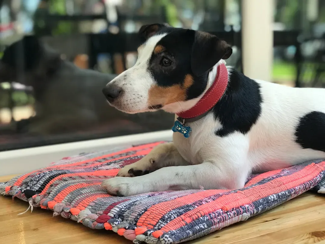 #6. Non-Slip Rugs or Yoga Mats Placed on Hard Floors (Image Credits: Unsplash)