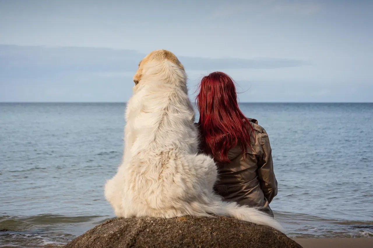 Conclusion: Your Dog Trusts You With Every Corner of Their World (Image Credits: Pixabay)