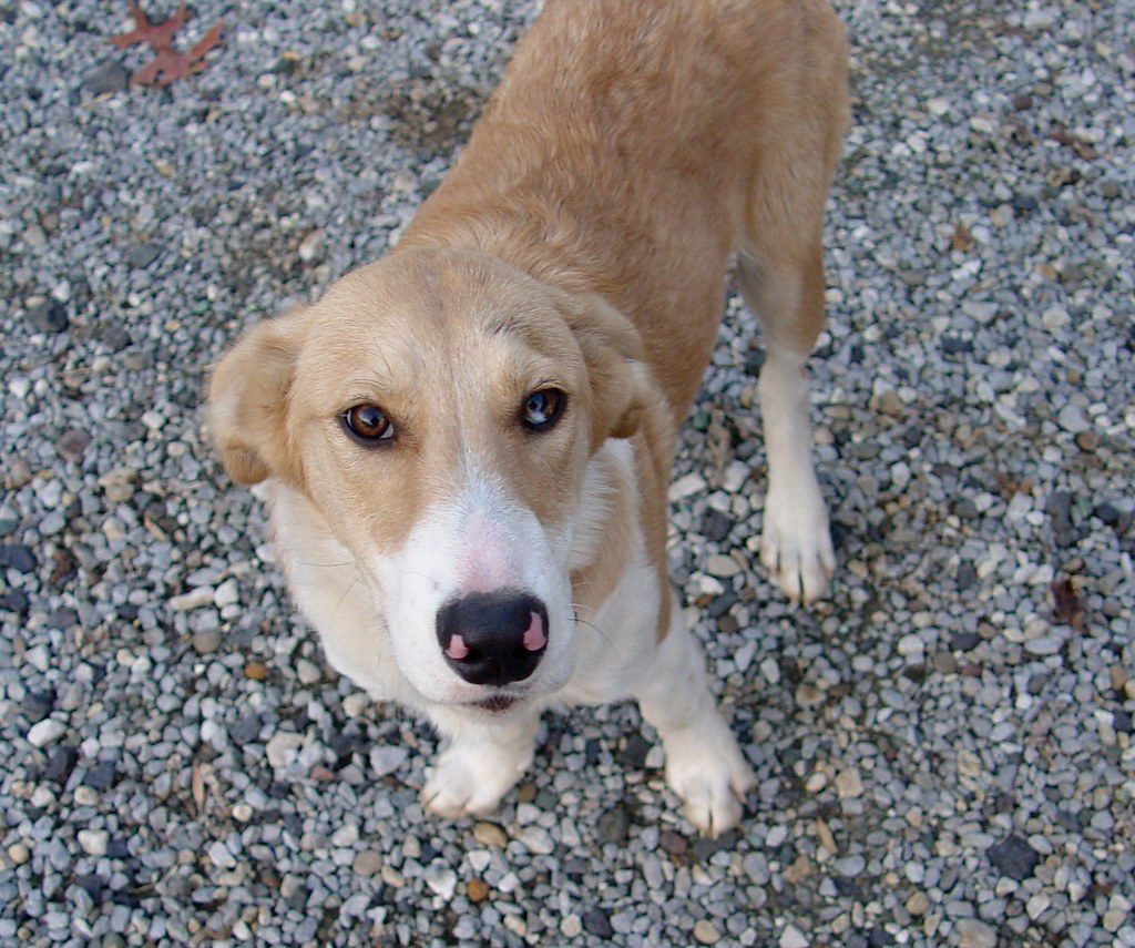 Turn Away and Ignore the Behavior (Image Credits: Flickr)