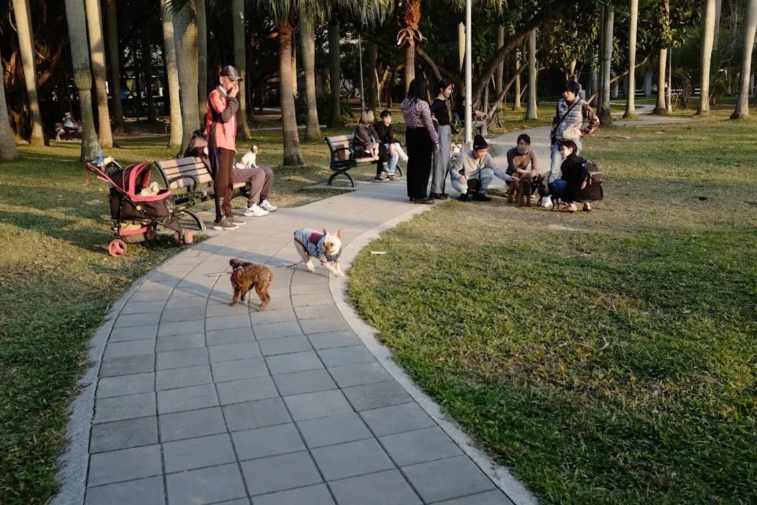 4. Off-Leash Freedom Does Something Special for a Dog's Mind (Image Credits: Unsplash)