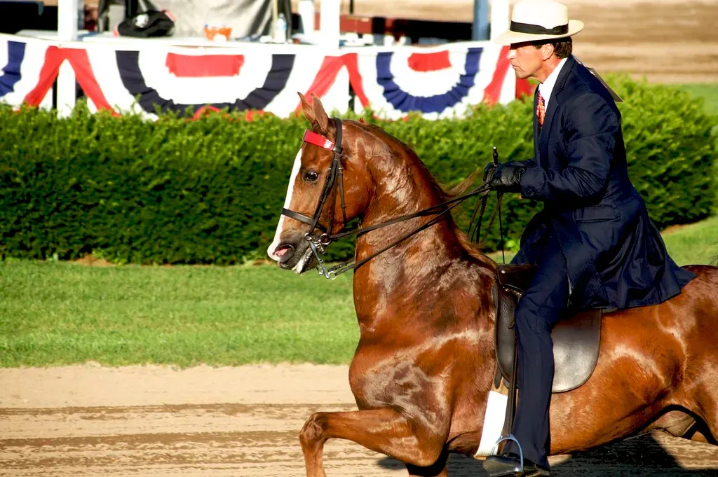 3. American Saddlebred (Just chaos, Flickr, CC BY 2.0)