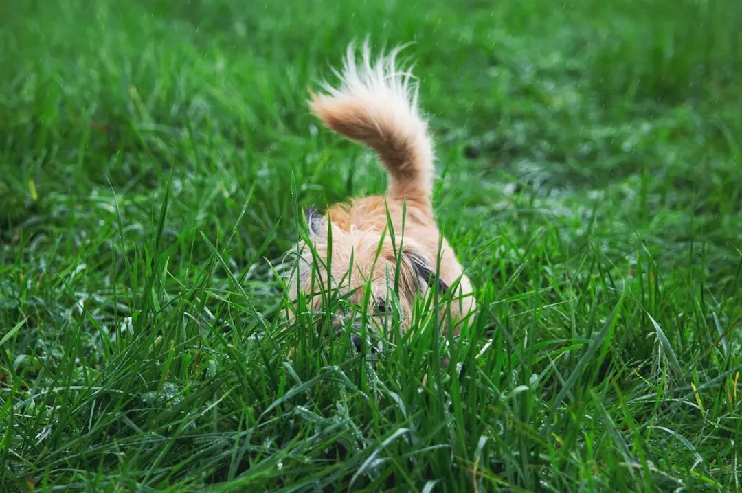 Game 3: Hide and Seek with YOU as the Prize (Image Credits: Unsplash)