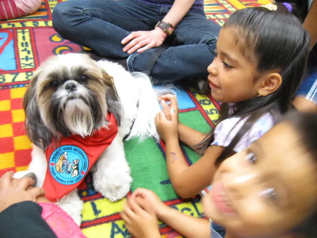 Real-Life Examples of Shih Tzus in Support Roles (Franklin Park Library, Flickr, CC BY 2.0)