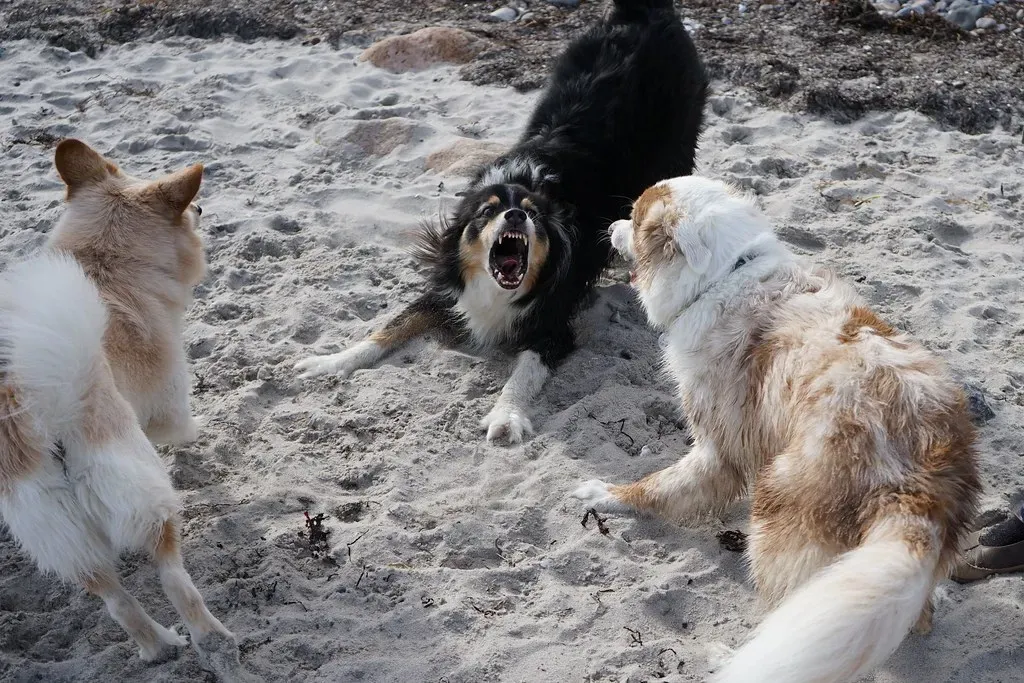 Environment Matches Make Magic (Image Credits: Flickr)