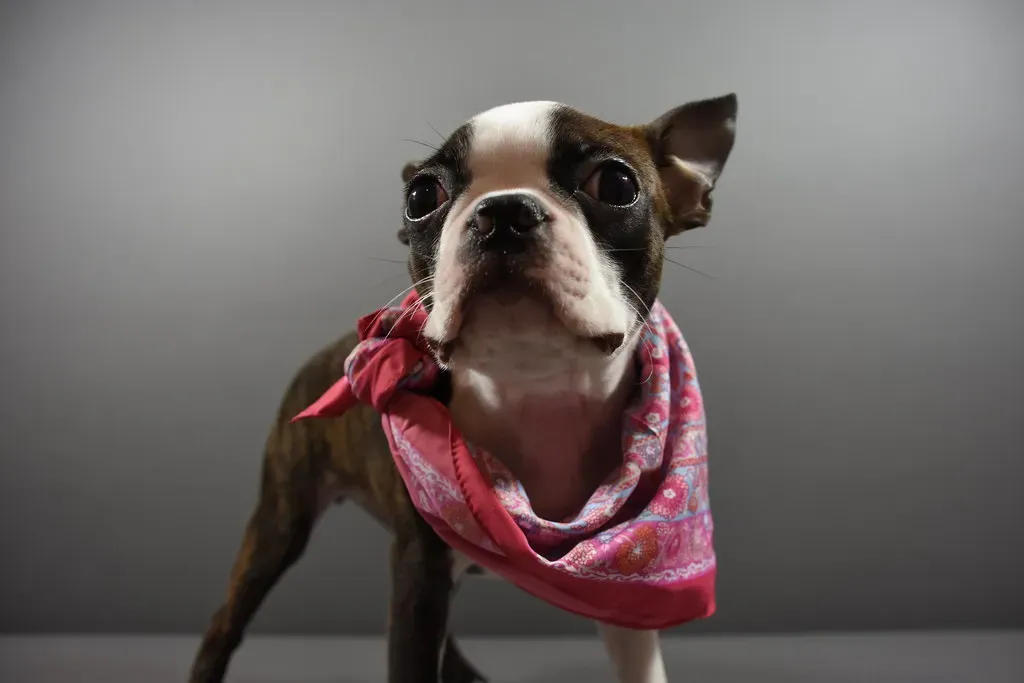 What Trauma Actually Looks Like in Their Memory (Image Credits: Flickr)