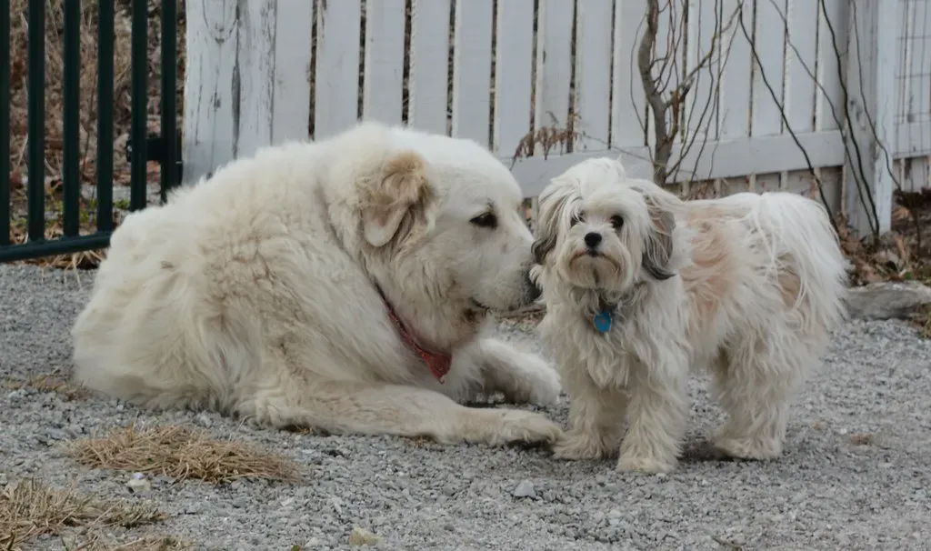 Energy Levels Create Connection Opportunities (Image Credits: Flickr)