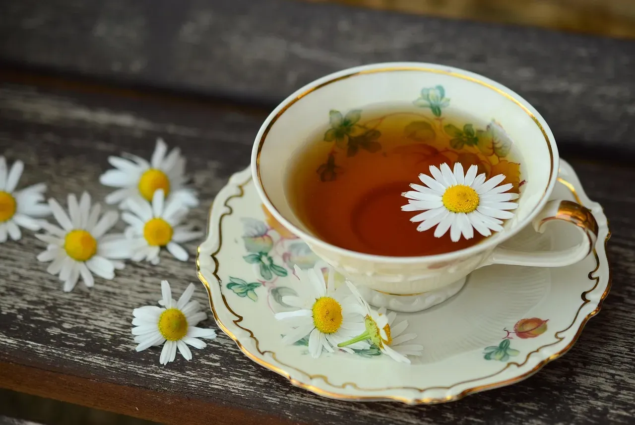 2. Chamomile Tea for Anxiety, Tummy Troubles, and Skin Flare-Ups (Image Credits: Pixabay)