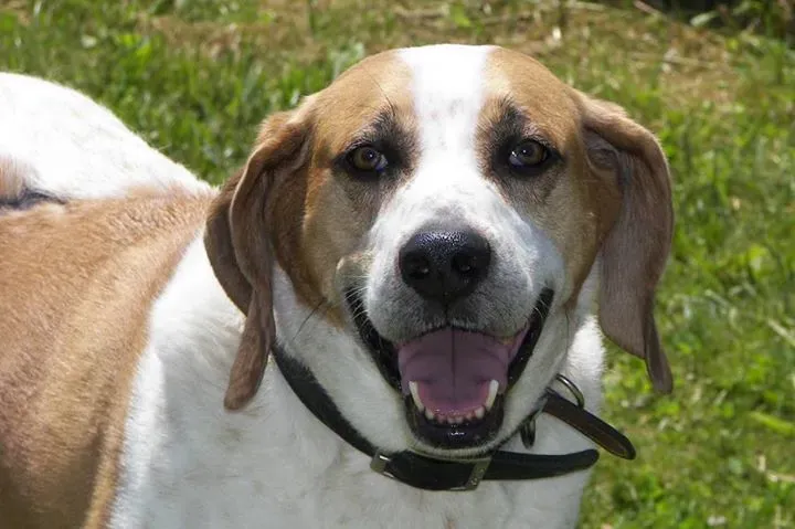 They Forgave You Every Single Time (Image Credits: Flickr)