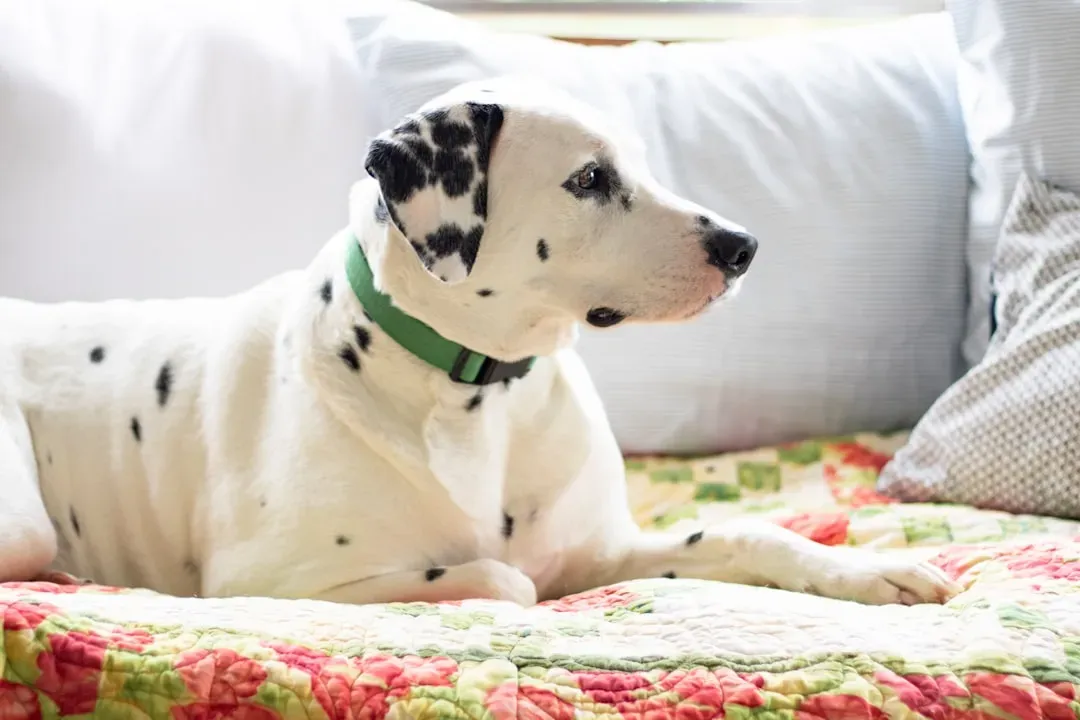 Conclusion: Listening to What Location Tells You (Image Credits: Unsplash)