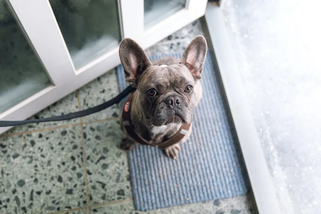 #9 - Slow, Structured Guest Routines Instead of Ambushes (Image Credits: Unsplash)