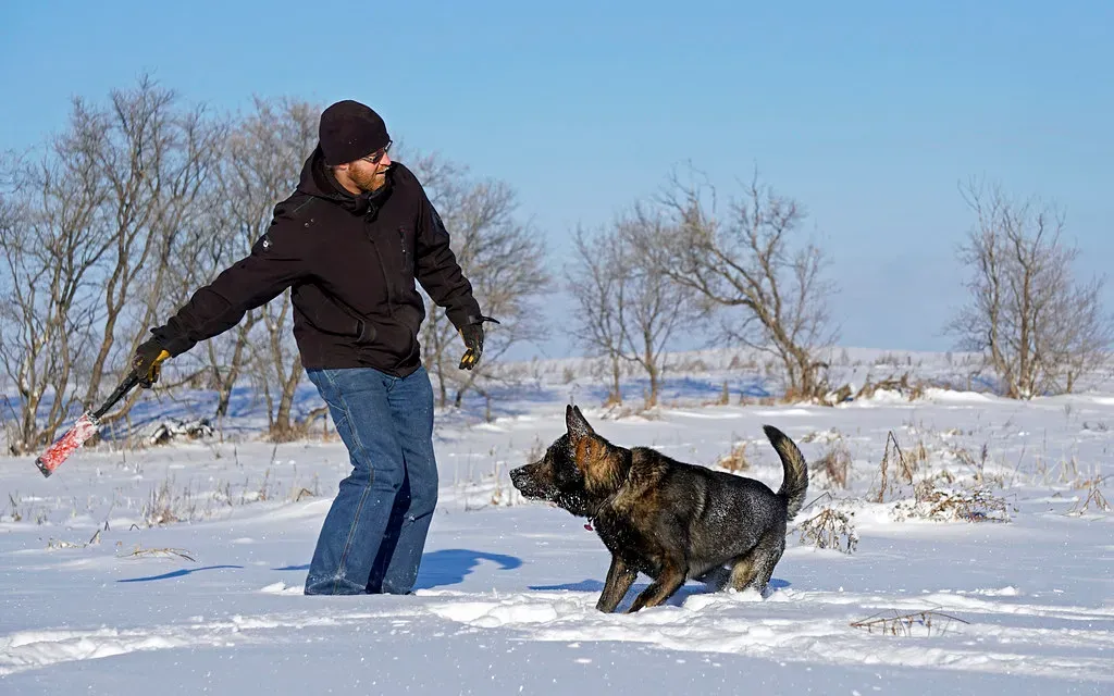 Virgo: The Organized Trainer (Image Credits: Flickr)