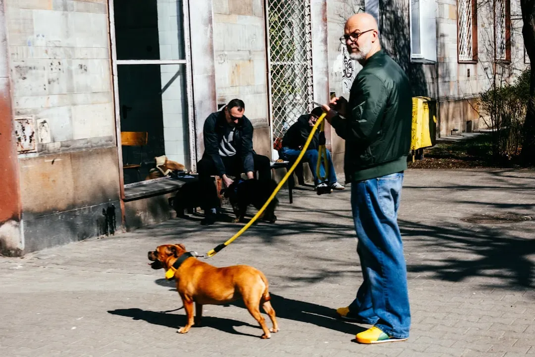 Routine Is Everything to a Dog (Image Credits: Unsplash)