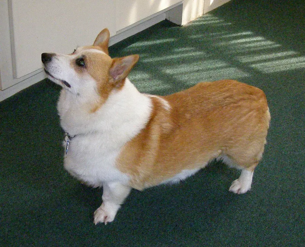 Artificial Preservatives and Additives: What's Really in That Bag? (Image Credits: Flickr)